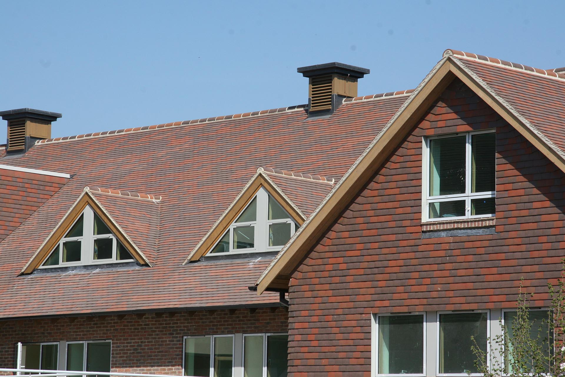 Steyning College with Collingwood Blend tiles